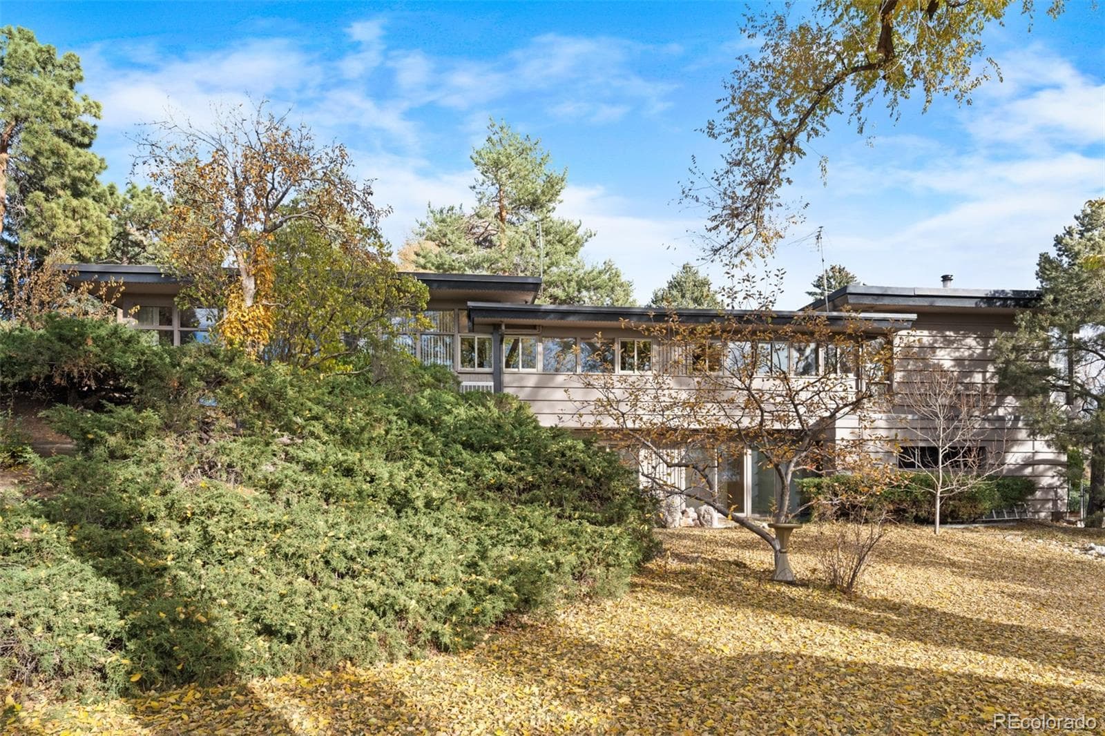 11 Sunset Lane, Greenwood Village